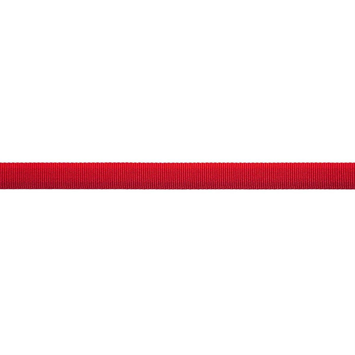 Dog Collar N4420