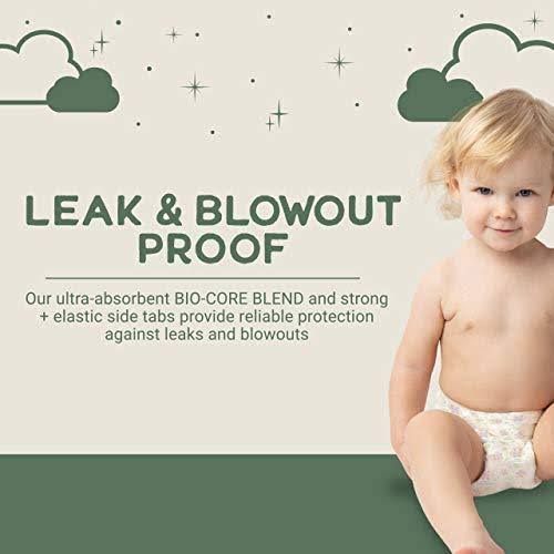 Natural Diapers, Flushable Wipes, Monthly Pack, Size 5, 136 Count T559182