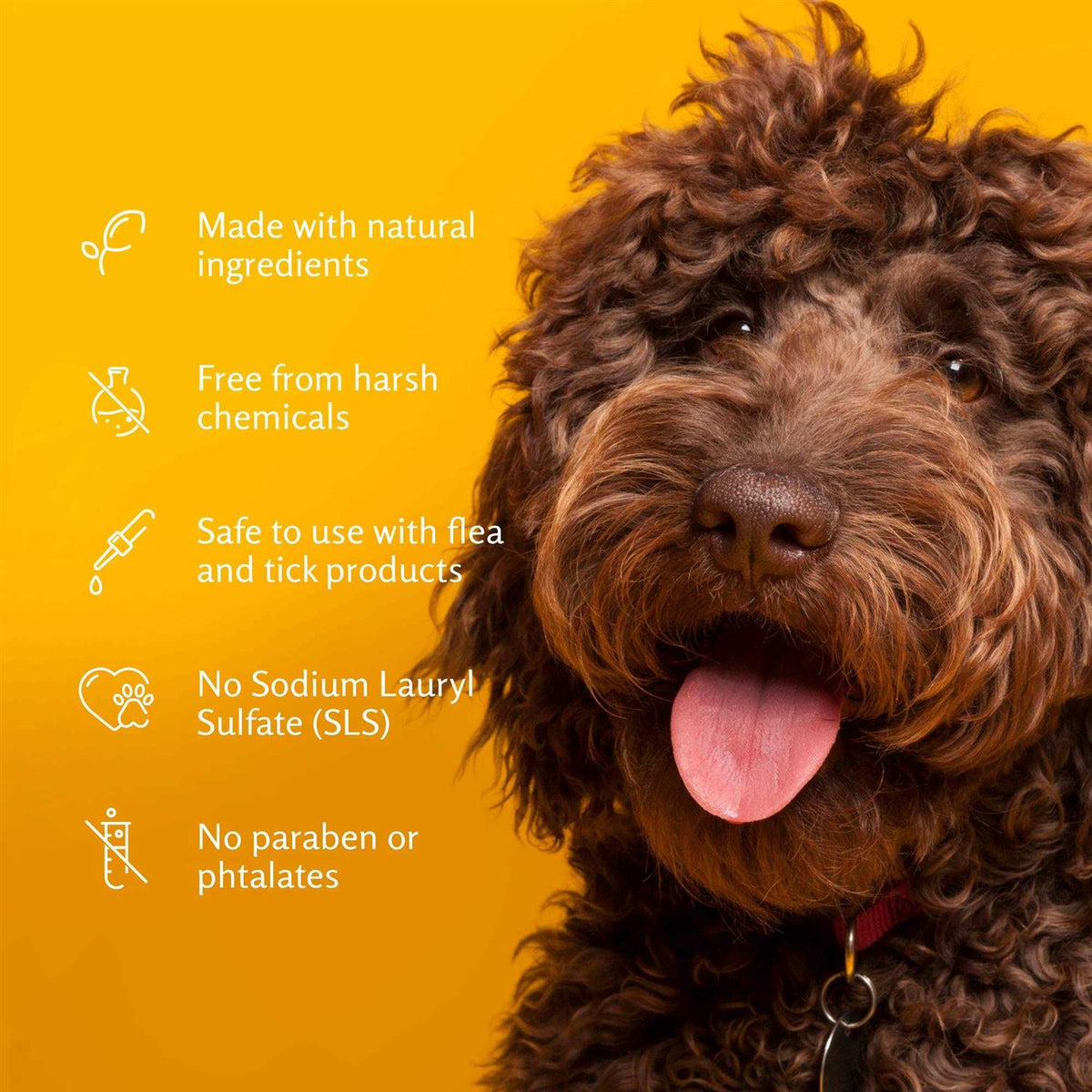 Super Deodorizing Dog Shampoo G89434