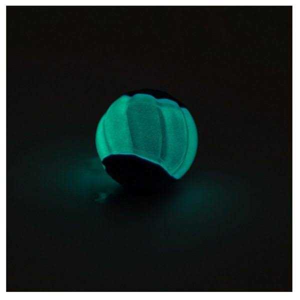 Dog Toy with Squeaker I15684