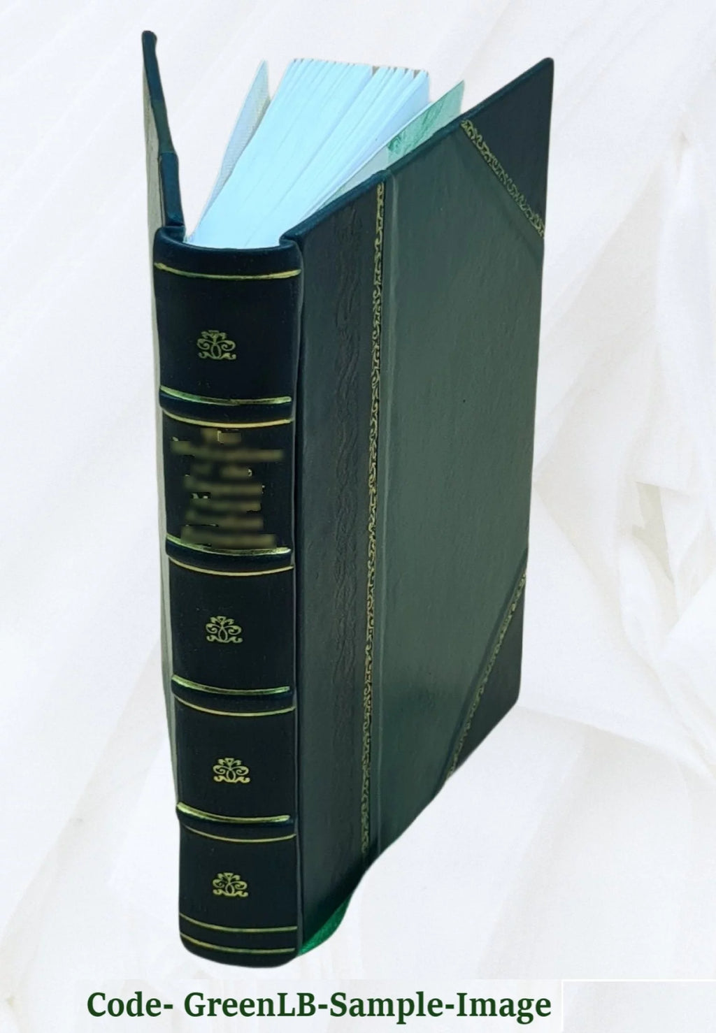 Leather Bound U48425