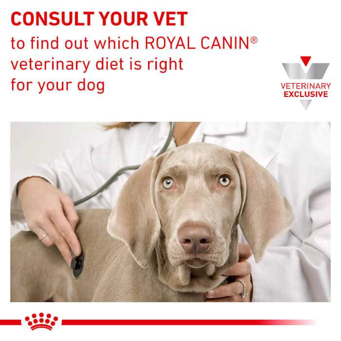 Dry Dog Food U62875