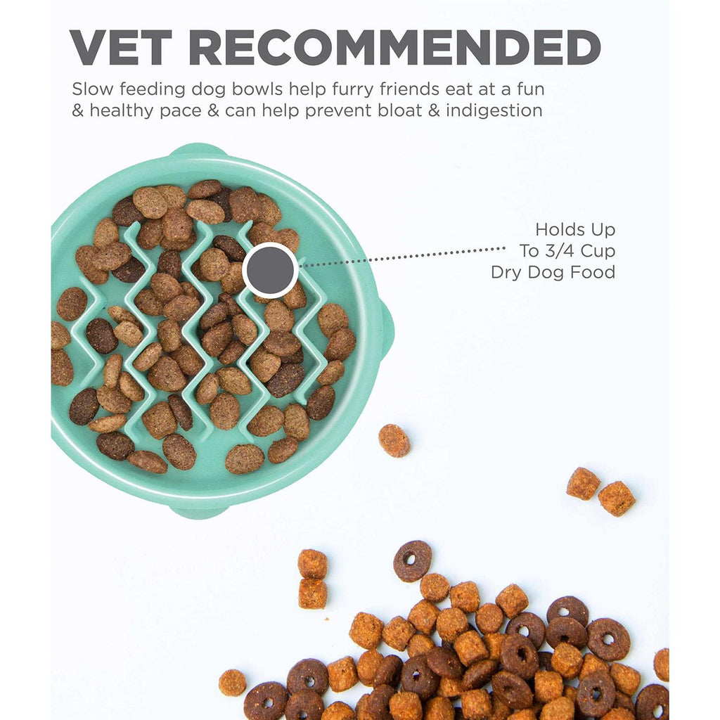 Slow Feeder Dog Bowl K9881