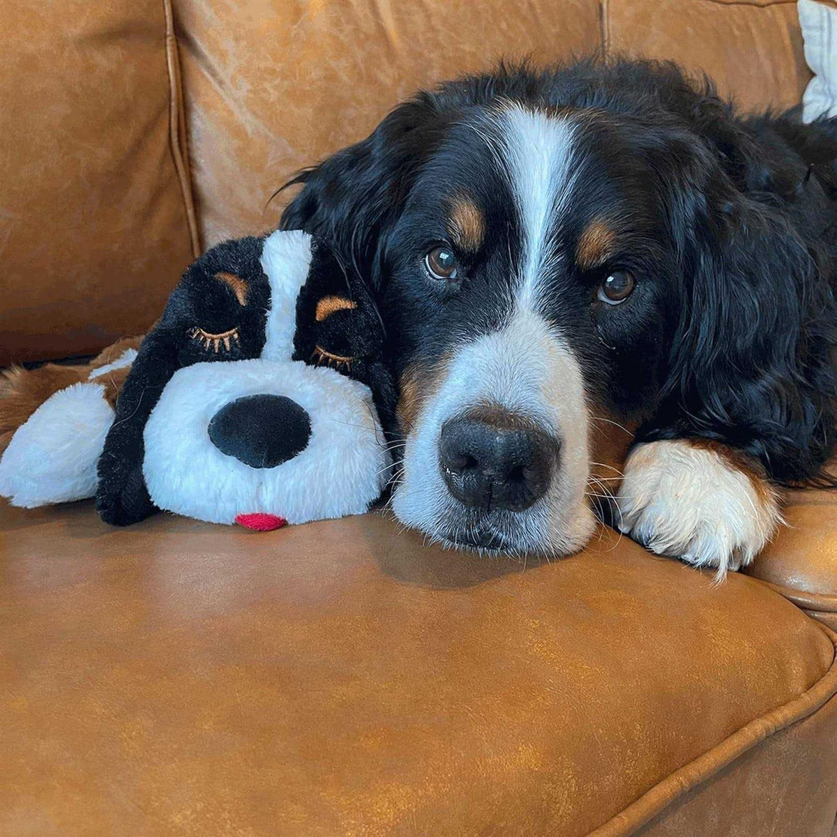Heartbeat Toy for Pet Anxiety Relief G230019
