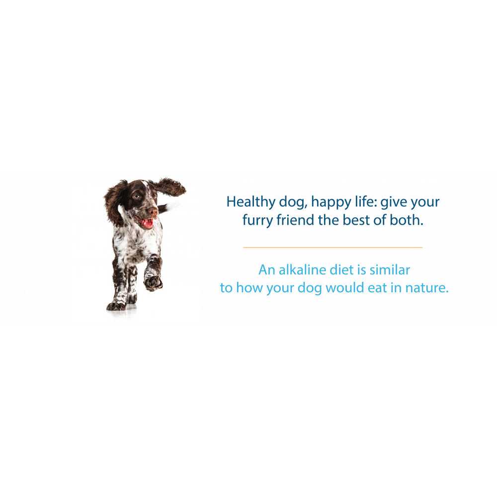 Grain Free Dry Dog Food D3767