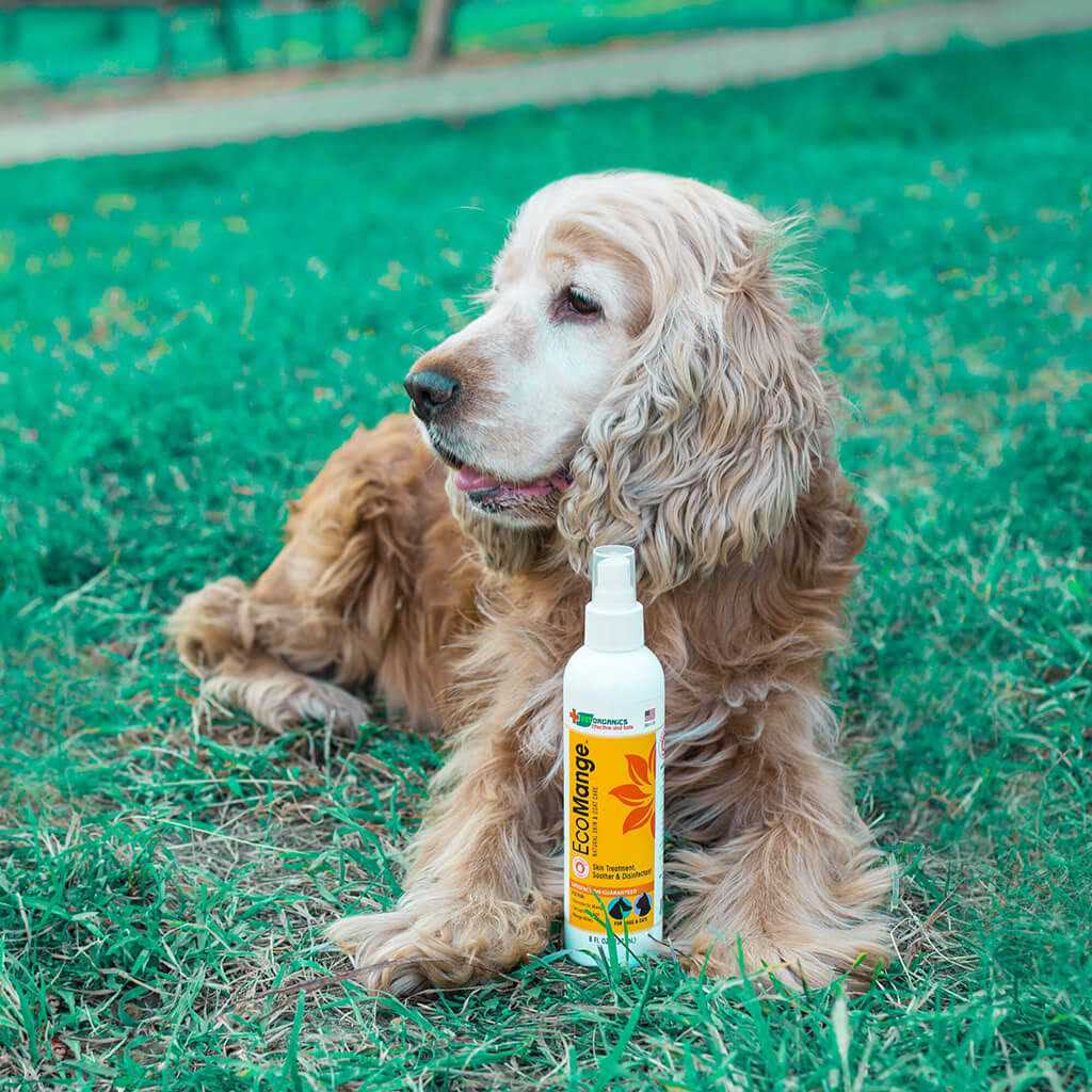 Dog & Cat Mange Skin Treatment R246