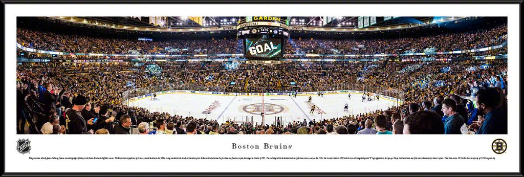 Framed Center Ice P17315