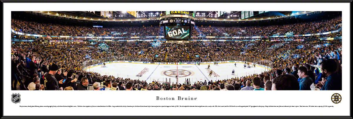 Framed Center Ice P17315