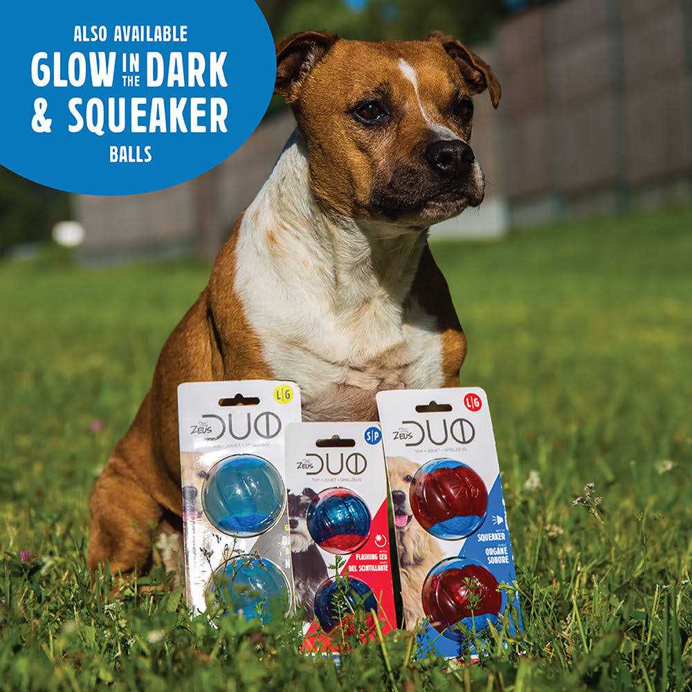 Dog Toy with Squeaker I15684