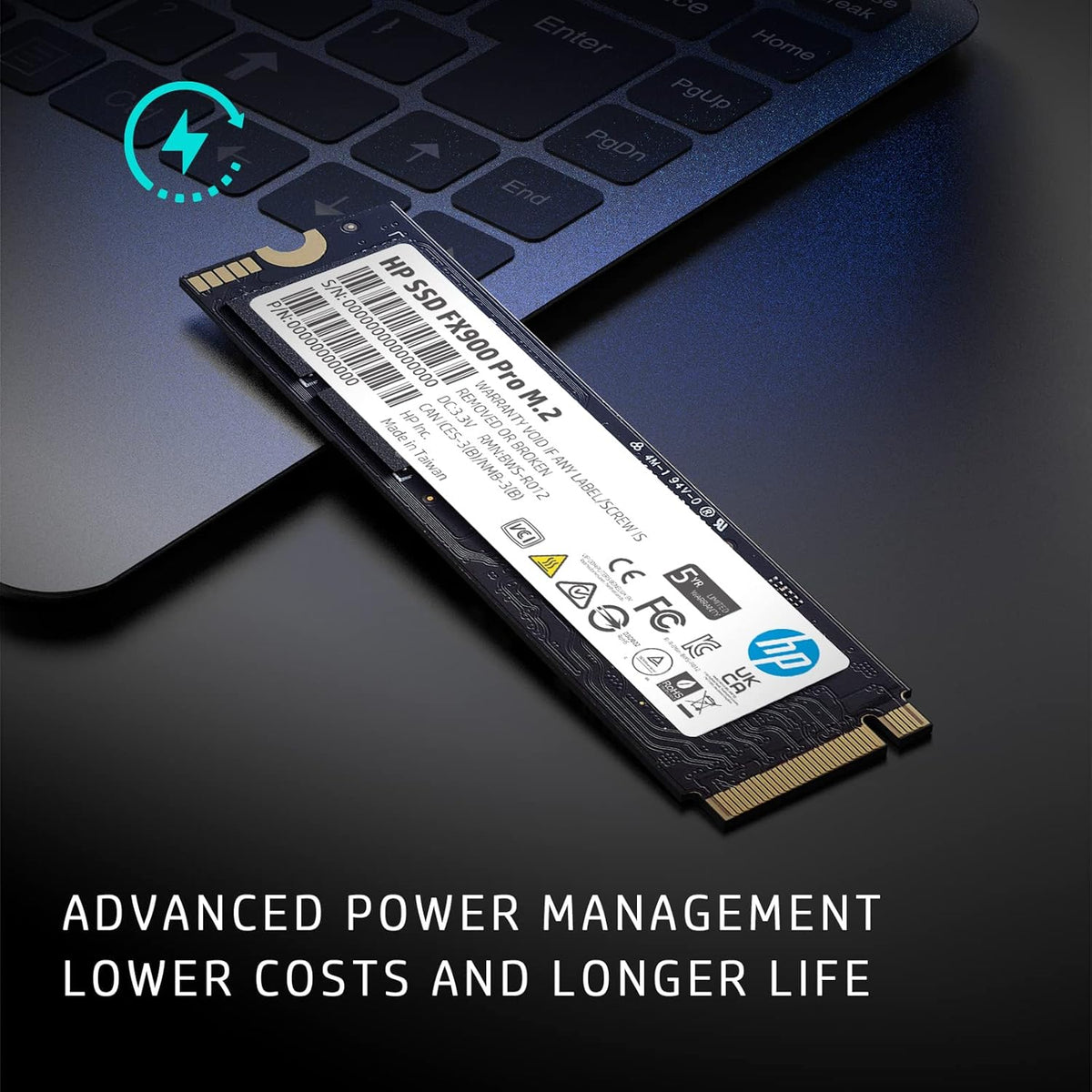 1TB NVMe GEN4 M.2 2280 3D TLC NAND Internal Solid State Drive I294