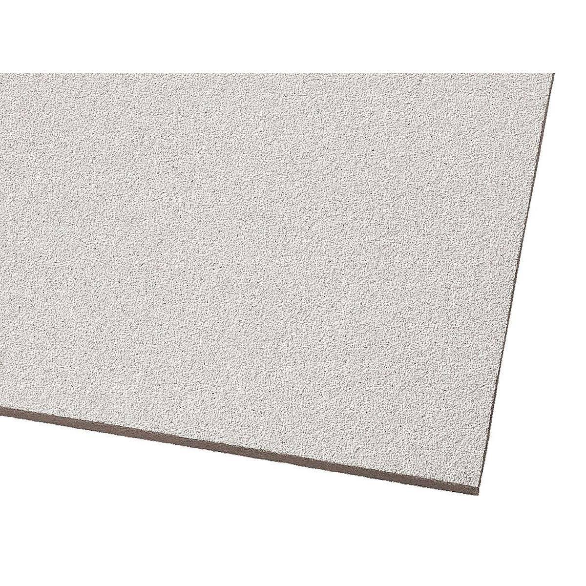 24x48x5/8 in. Acoustical Ceiling Panel S2143