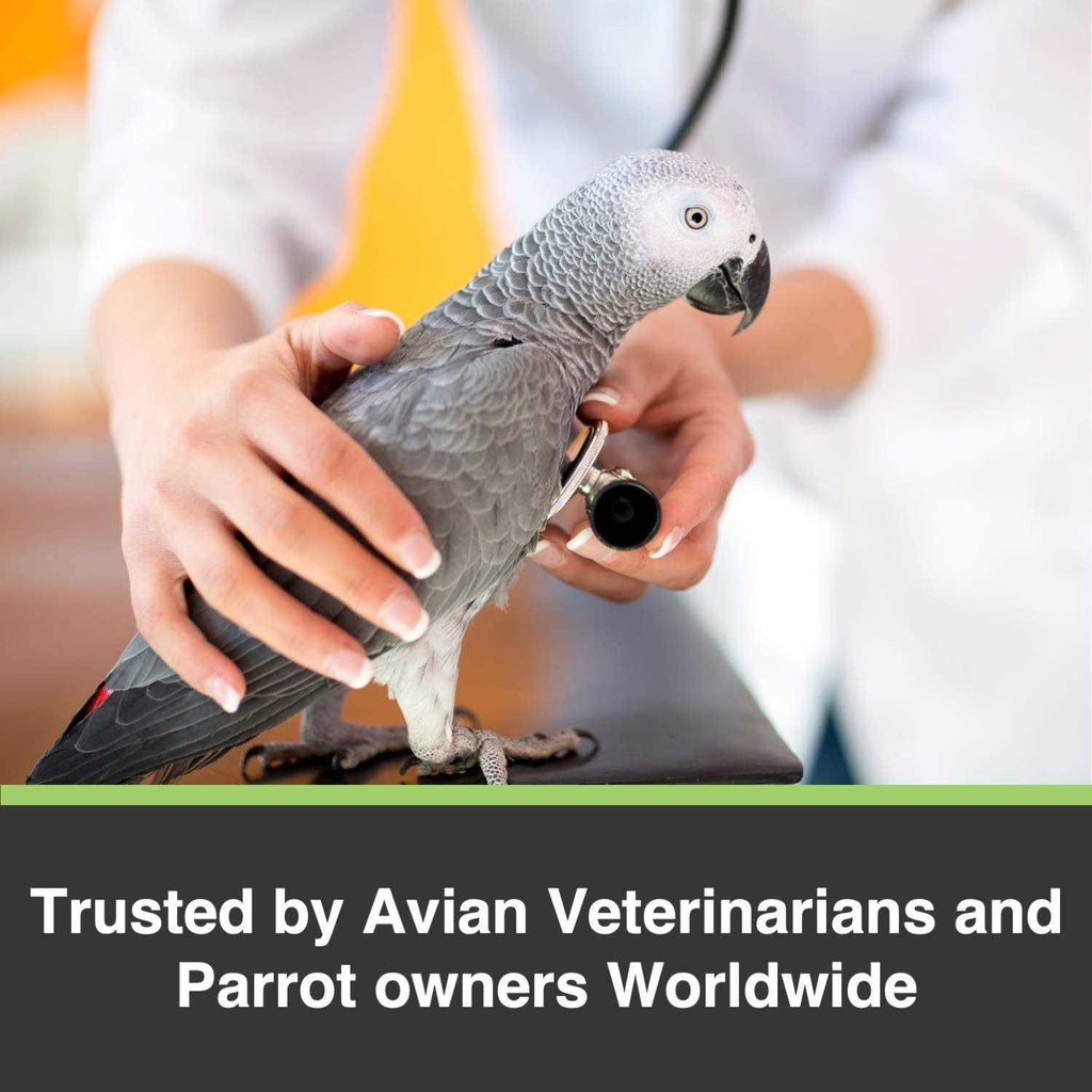 Large Parrots Pet Supplies U17578