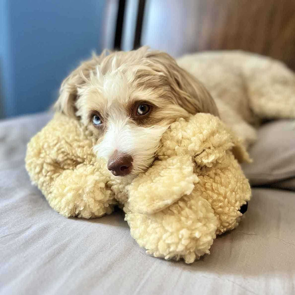 Heartbeat Toy for Pet Anxiety Relief G230019