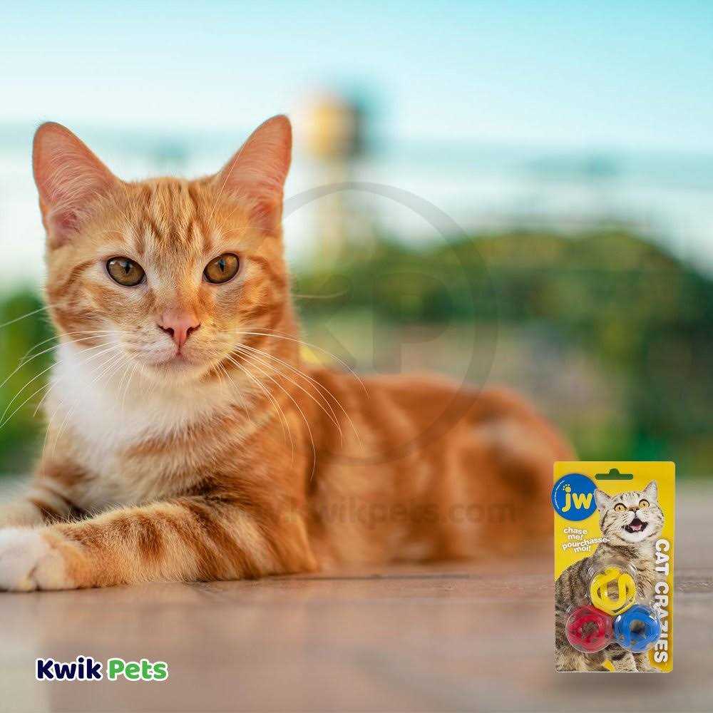 Cat Toy U328
