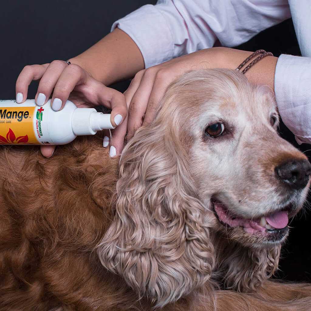 Dog & Cat Mange Skin Treatment R246