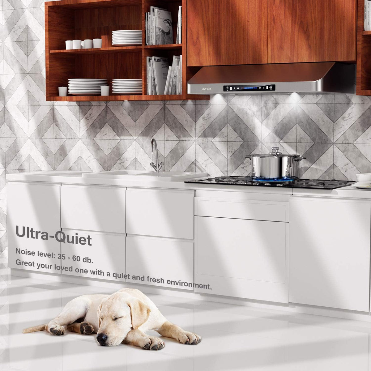 30 Inch Under Cabinet Range Hood with 900-CFM, Stainless Steel Kitchen Vent M96526